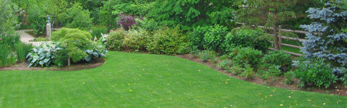 home_image