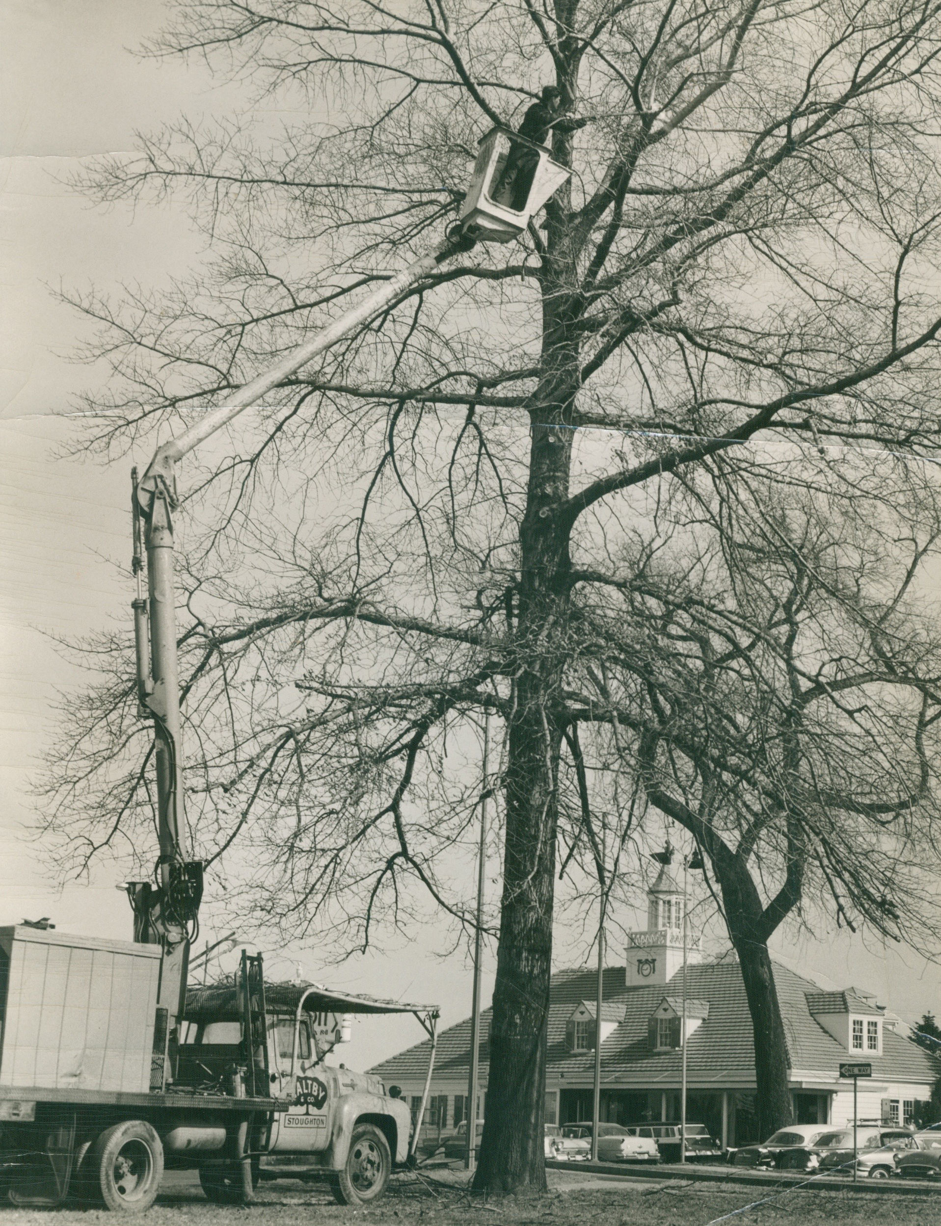 image3.1
