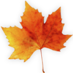 leaf