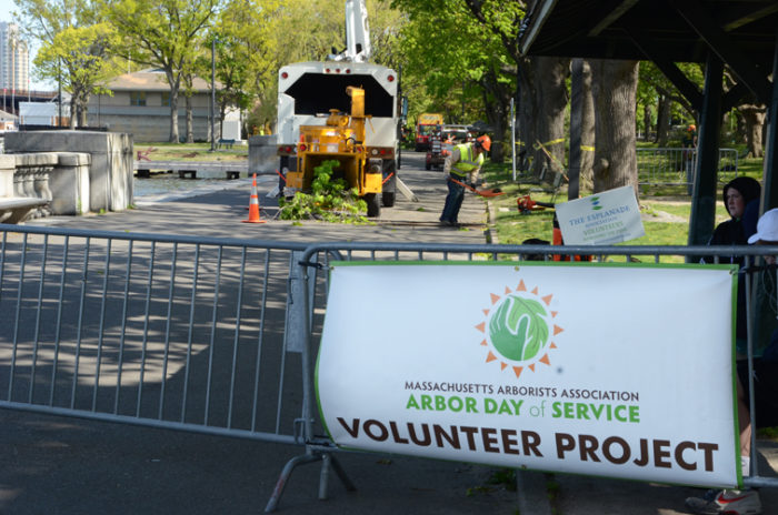 Arborday